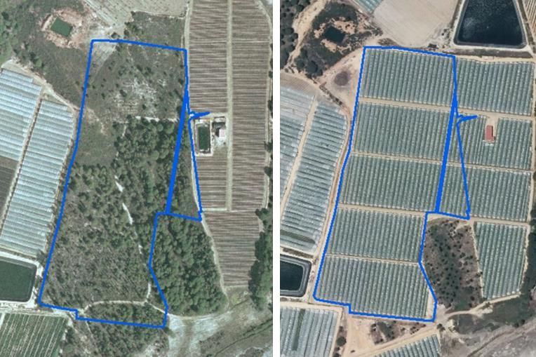 Transformación de una zona forestal en agrícola entre 2004 y 2014.