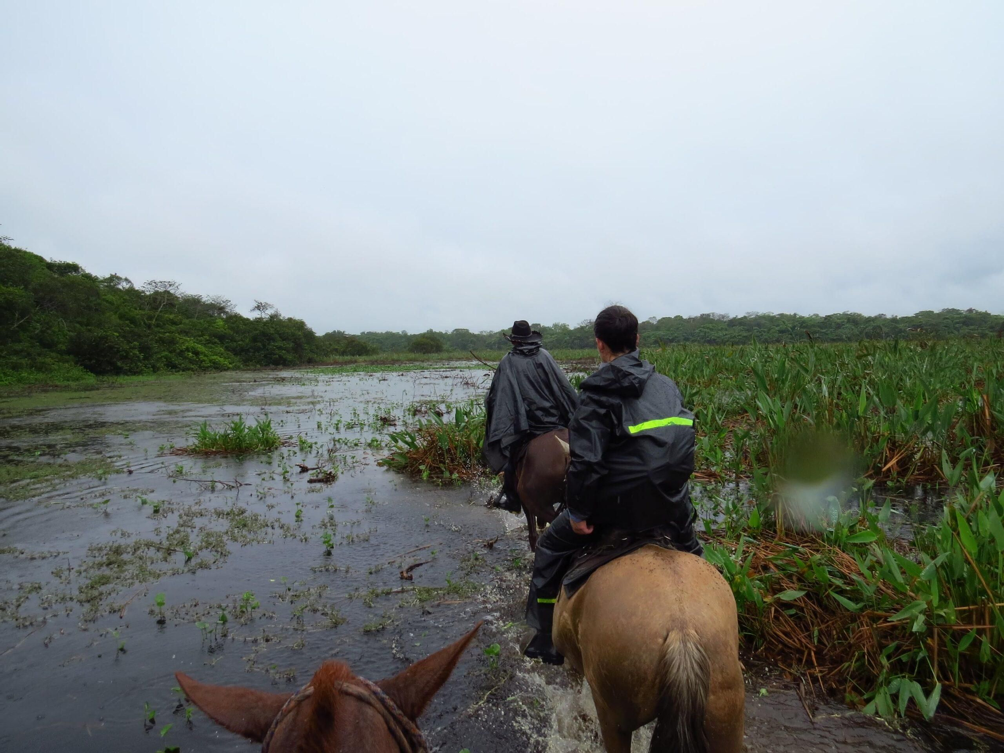 En estudio en la Orinoquía demandó aventurarse en lugares de difícil acceso. Foto: Cortesía Ángela Alviz