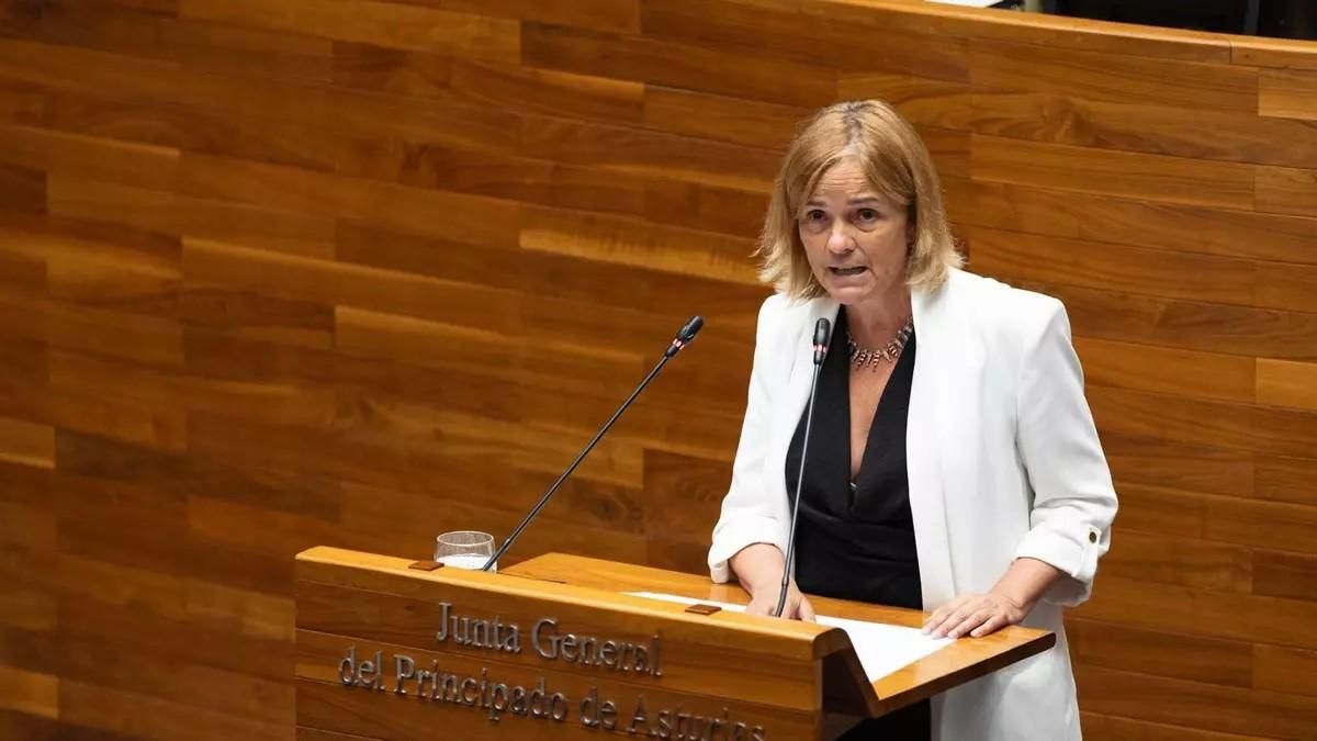 El Gobierno de Asturias quiere eliminar "errores graves" en el dictamen sobre el accidente en la mina de Zarréu