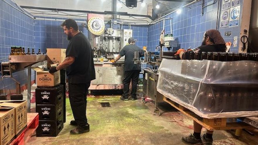 La toledana Domus reabre su ‘Tap Room’ con música en vivo y ediciones especiales de sus cervezas artesanas