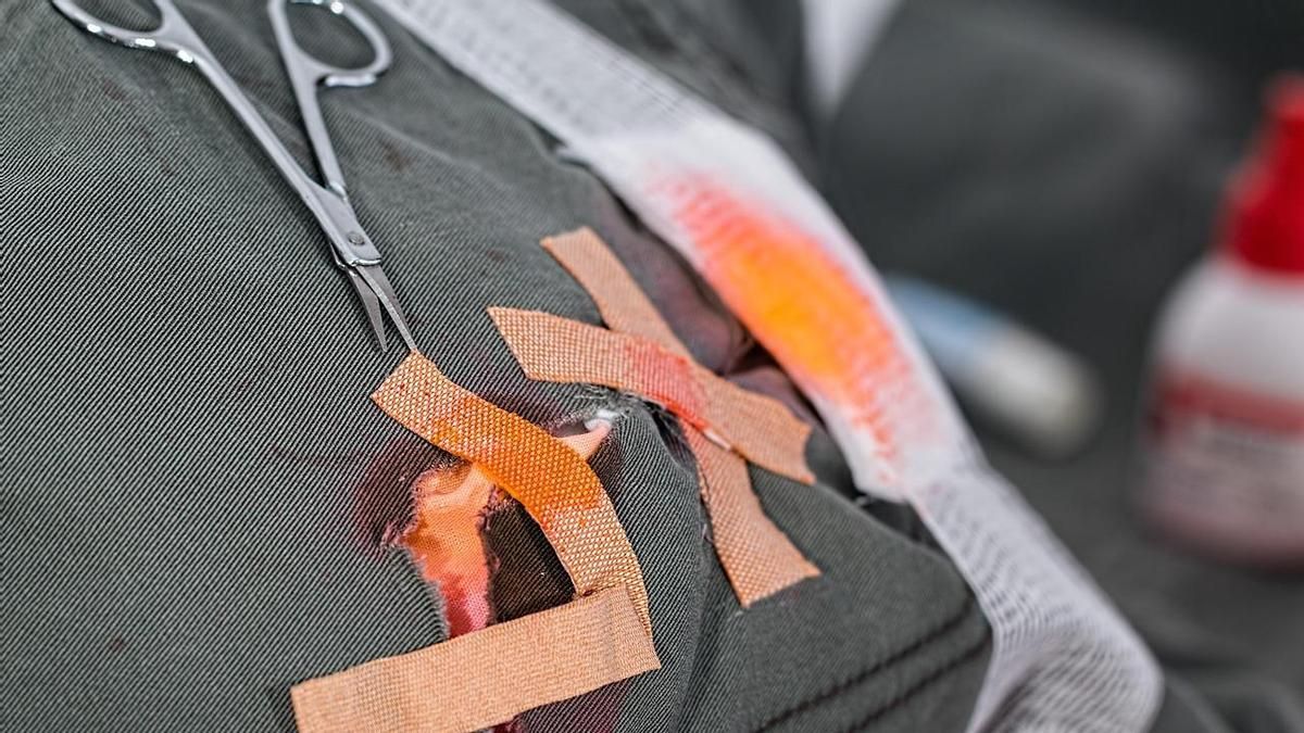 El II Encuentro de Enfermeras Referentes en Heridas reúne en León a casi 200 profesionales