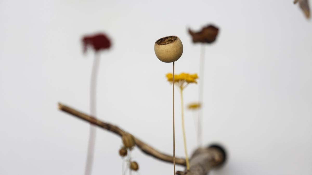 Flora 2025 - 'Arbor' (Museo Arqueológico)