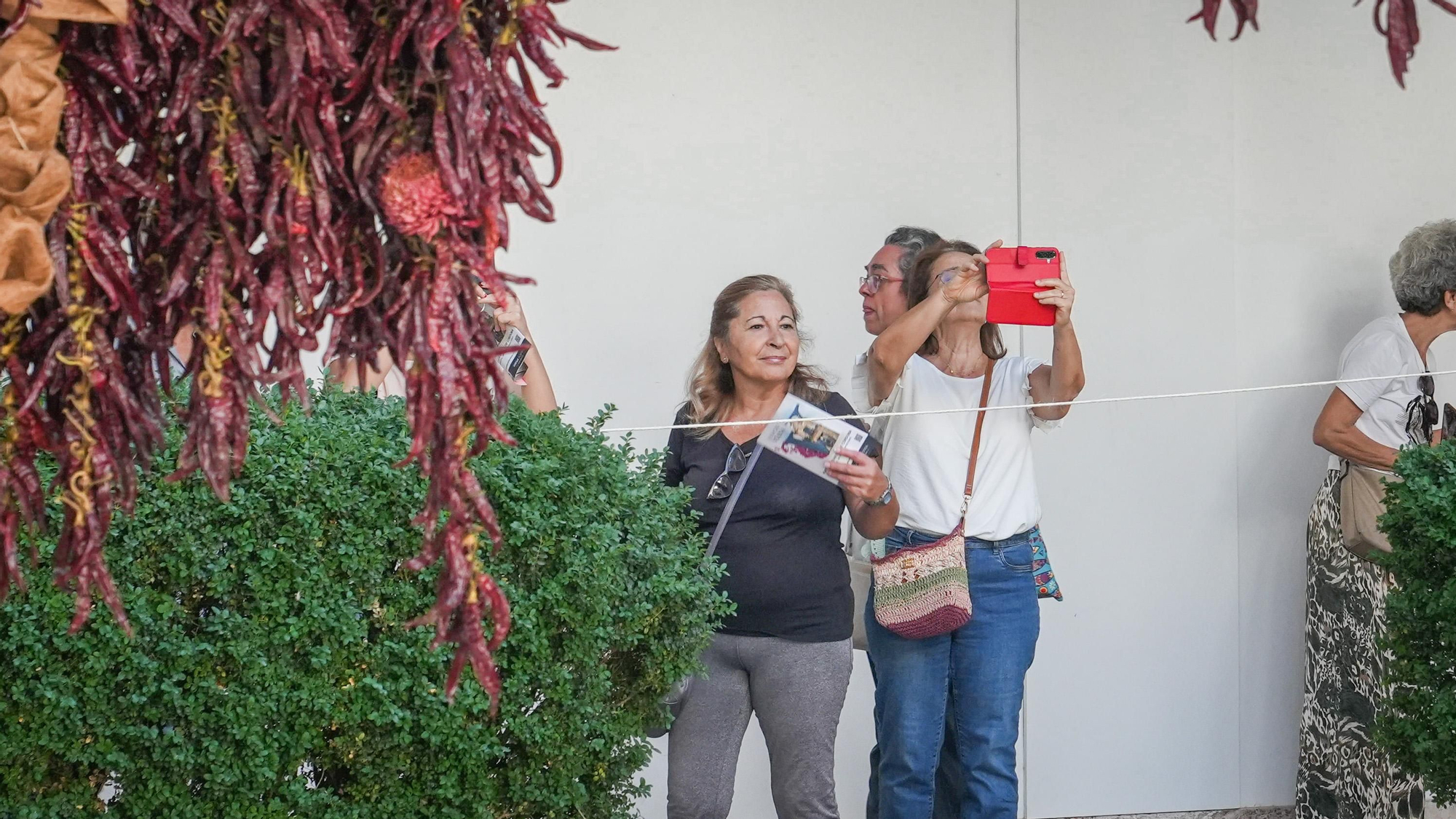 FLORA 2026 - Taller Banegas (Museo Arqueológico de Córdoba)