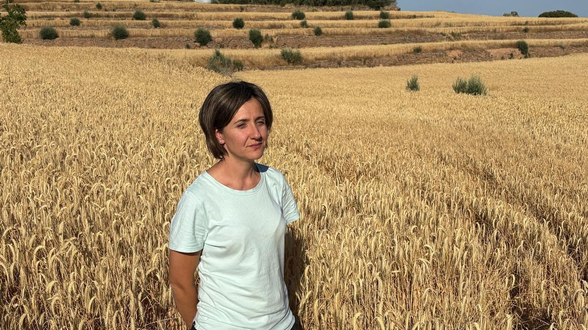 Neus Mangues, entre sus cultivos en Torrefeta i Florejacs, en Lleida