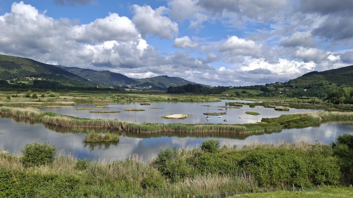 Sobre la escasez de agua en Busturialdea-Urdaibai