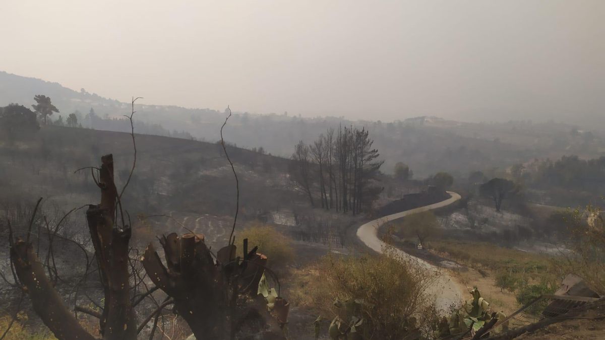 Access to the village of Santa María, in Petín (Ourense), surrounded by burned land.