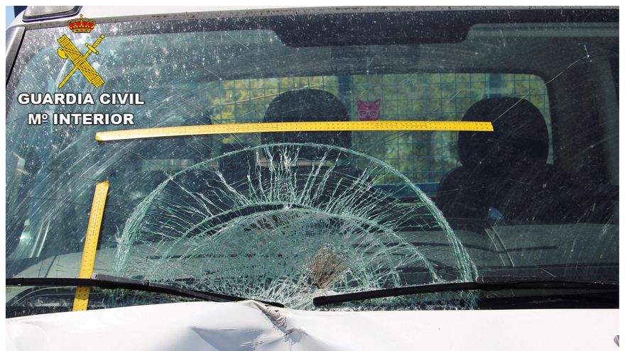 Localizan al conductor que atropelló mortalmente a un camionero en la N-VI