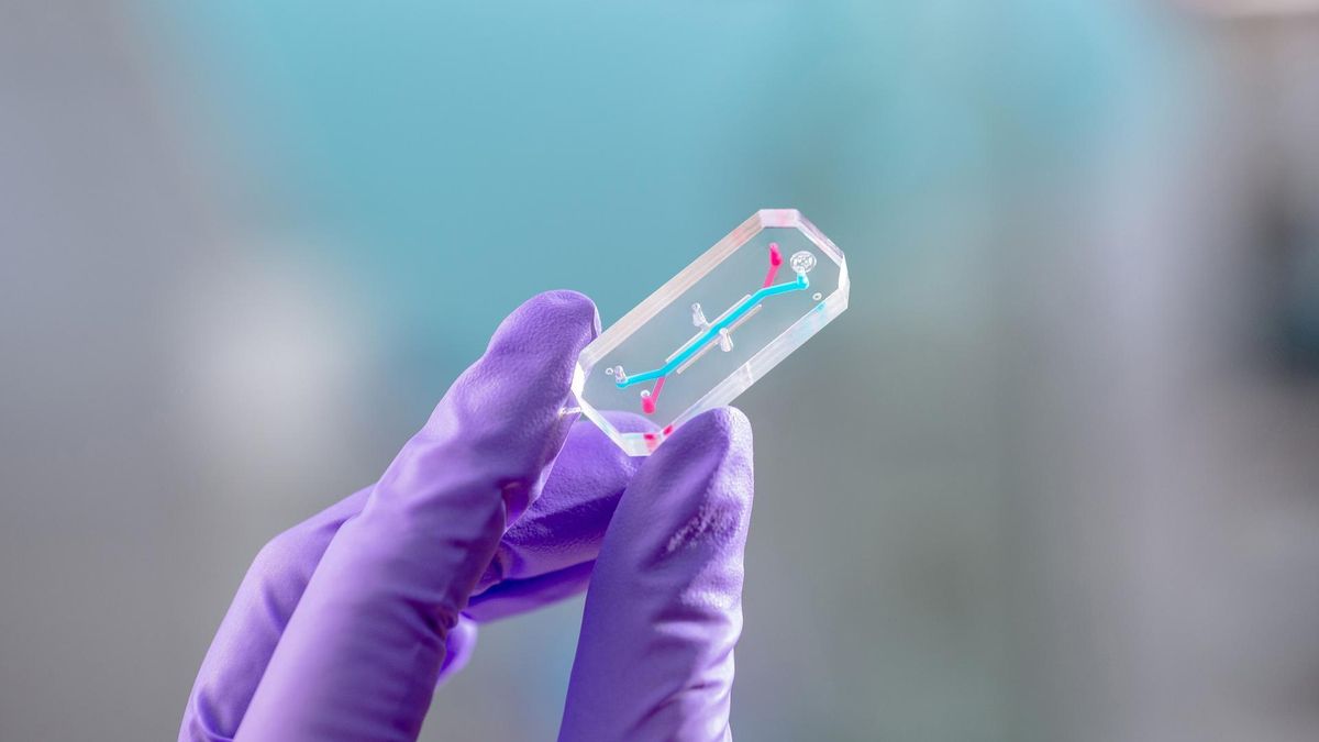 El chip que se está usando en el experimento AVATAR. 