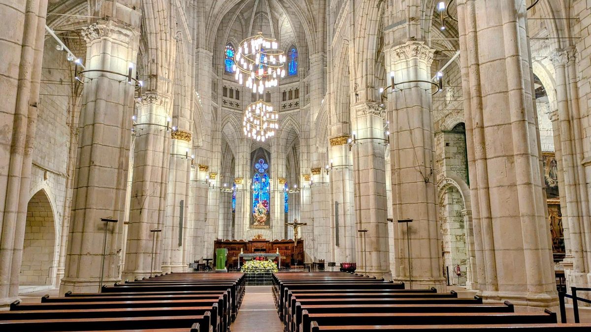 Magnífico ejemplo del gótico, esta catedral ya la han visitado dos millones de personas mientras se sigue rehabilitando