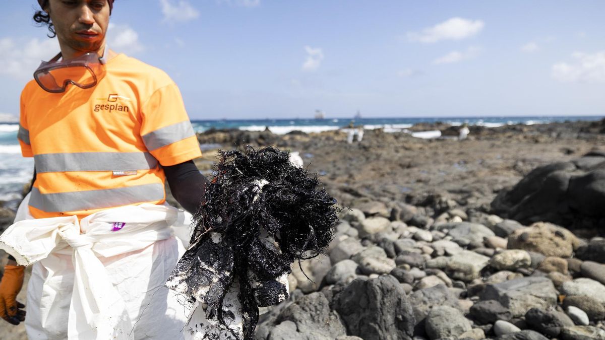 Un operario muestra los efectos del vertido en la costa de Telde.