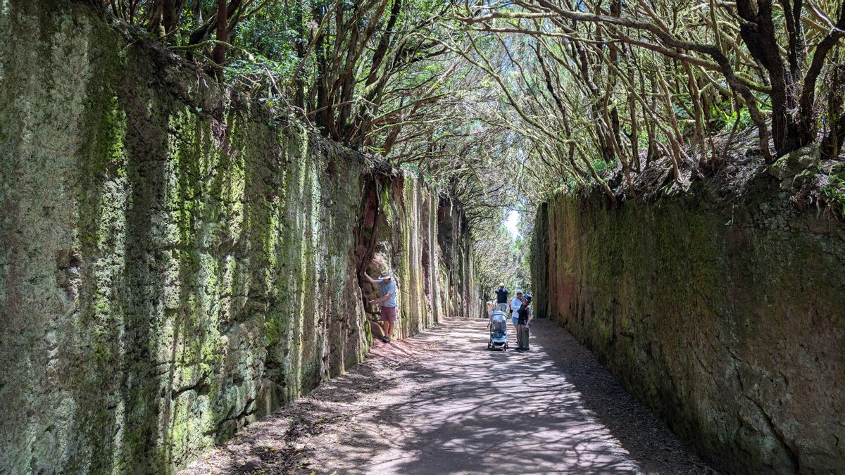 Camino viejo al mirador del Pico del Inglés, en Anaga.