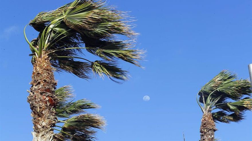 Fuertes rachas de viento este lunes en Canarias, tras el paso de la borrasca Celia. / FOTO: EFE