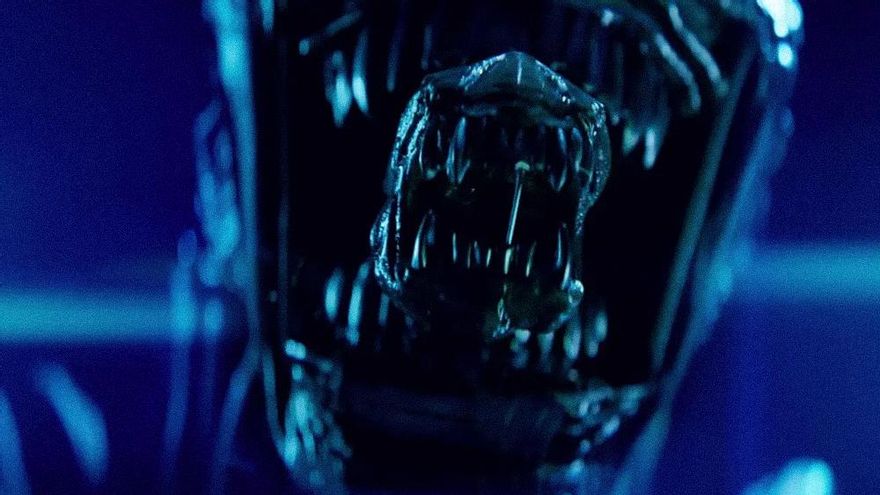 Disney+ desvela su batería de grandes estrenos de 2025, con 'Daredevil', 'Andor', más 'The Bear' y la serie de 'Alien'