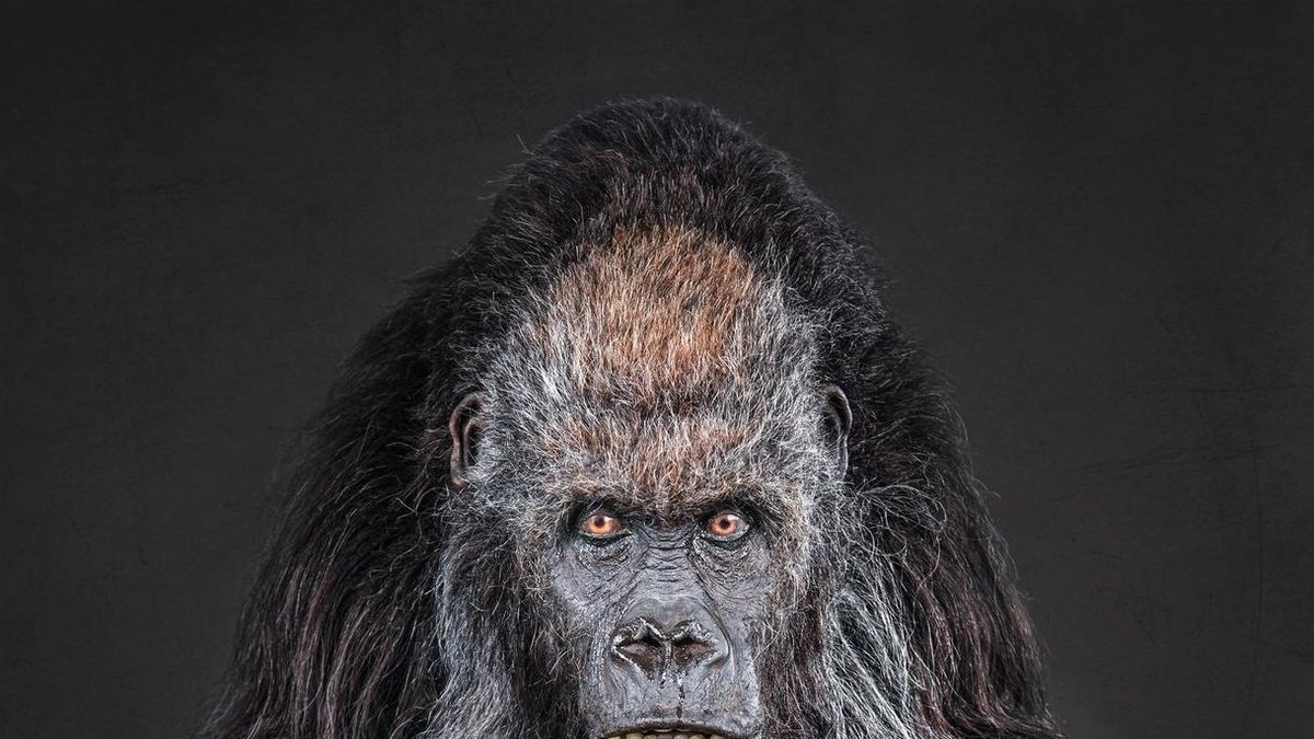 Cuatro fotógrafos vizcaínos optan al premio de la Copa del Mundo de Fotografía