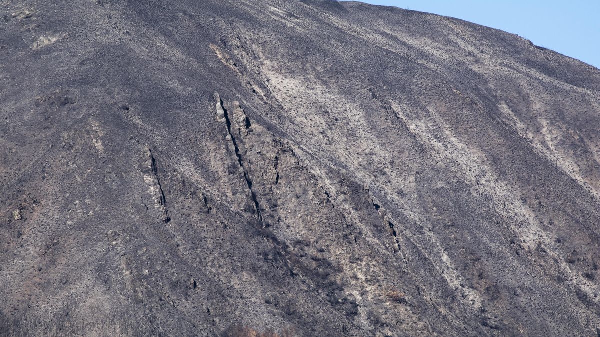 Ladera arrasada por el fuego en el valle de Fasgar.
