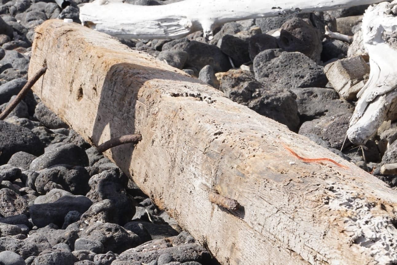 Trozo de madera hallado en la playa de El Espigón. GUSTAVO DÍAZ