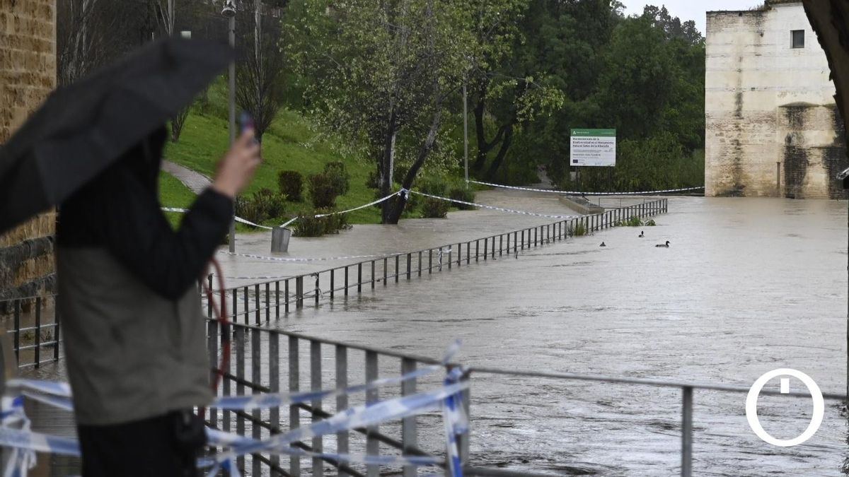 La crecida del río Guadalquivir a su paso por Córdoba