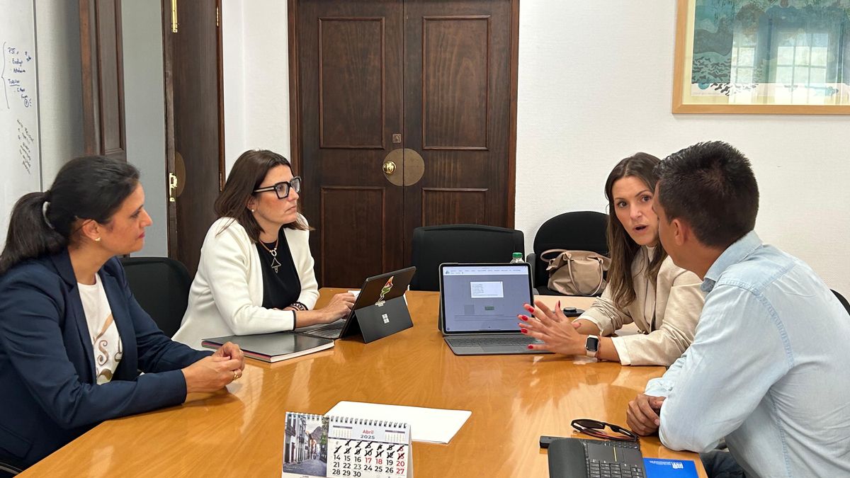 Reunión para mejorar la oferta dirigida a cruceristas  en La Palma