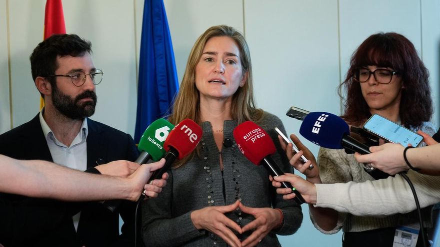 El Gobierno da luz verde a incluir criterios de renta al bono social de familias numerosas