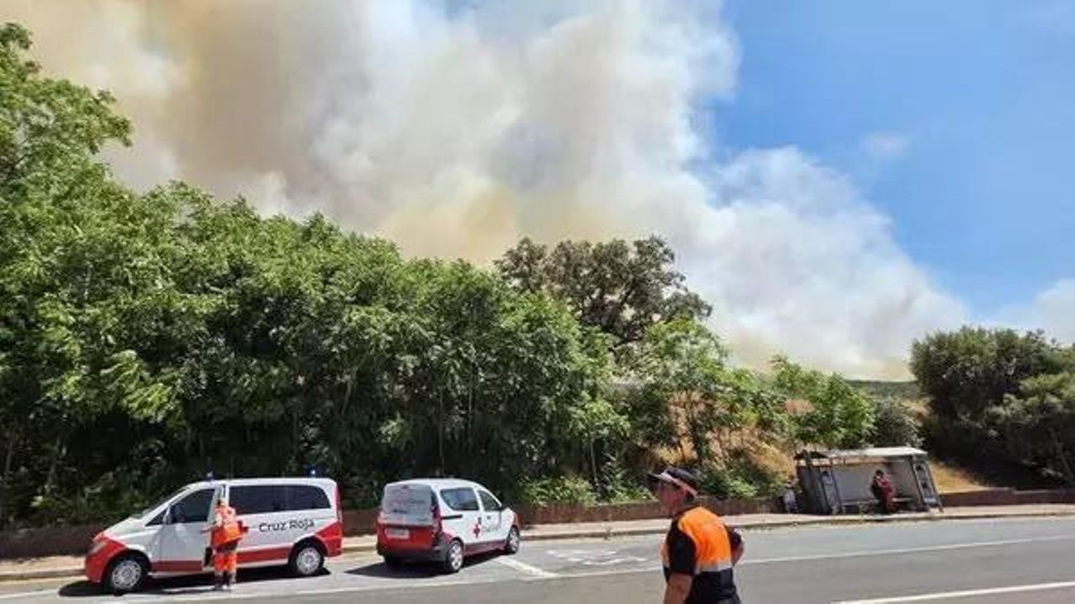 El Plan Infoex interviene en 14 incendios forestales en una semana con más de 2.100 hectáreas afectadas en Extremadura
