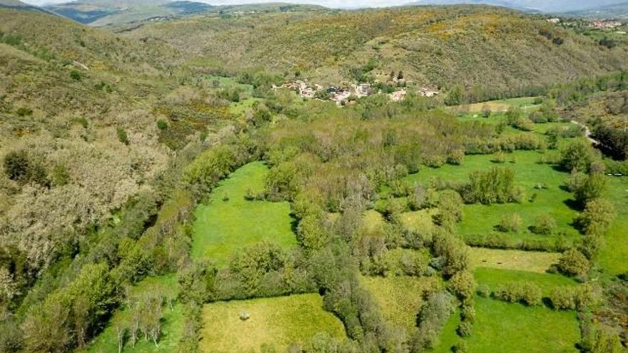 Sebes en el valle del Omaña. // Víctor Casas