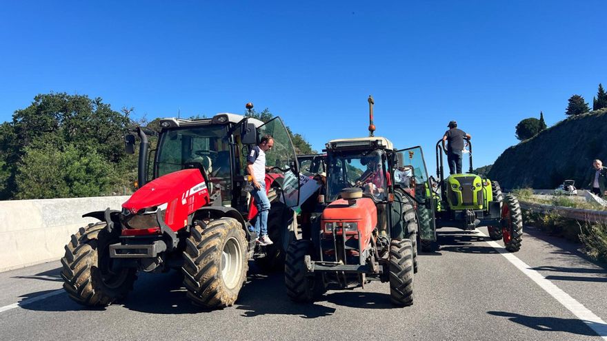 Los agricultores retoman las protestas contra los acuerdos comerciales de la UE y cortan ocho pasos fronterizos con Francia