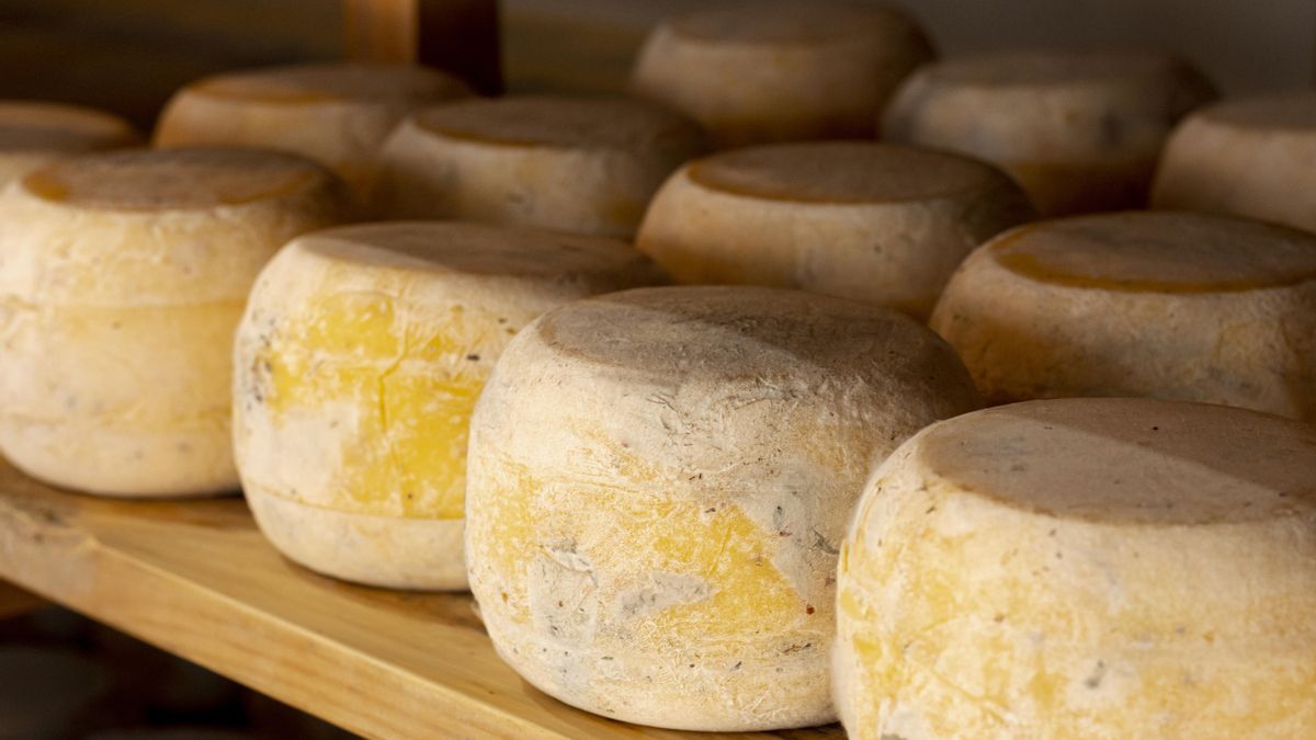 Alerta sanitaria en Catalunya por posible presencia de E. Coli en queso procedente de Francia