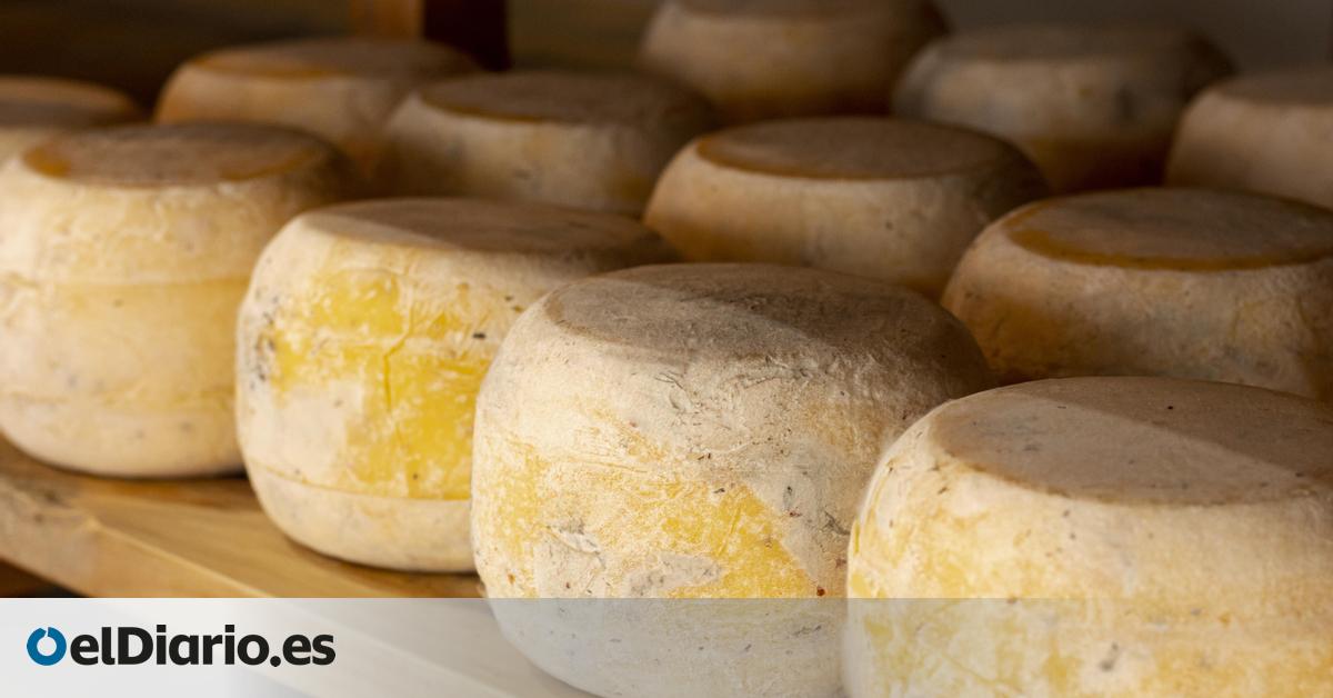 Alerta sanitaria en Catalunya por posible presencia de E. Coli en queso procedente de Francia