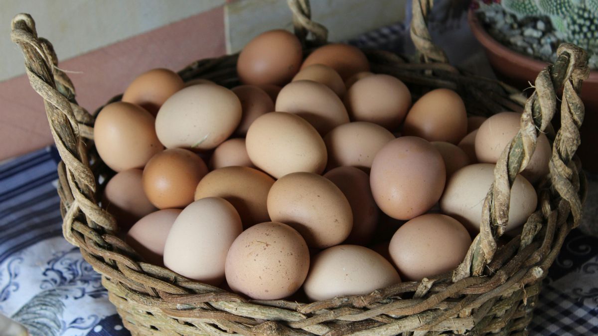 Cómo hacer huevos encapotados: la receta tradicional de Navarra rica en nutrientes