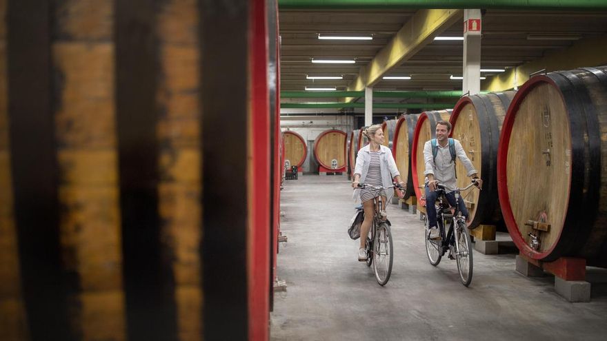 Flandes sobre dos ruedas: cinco rutas en bici para descubrir la cultura de la cerveza belga