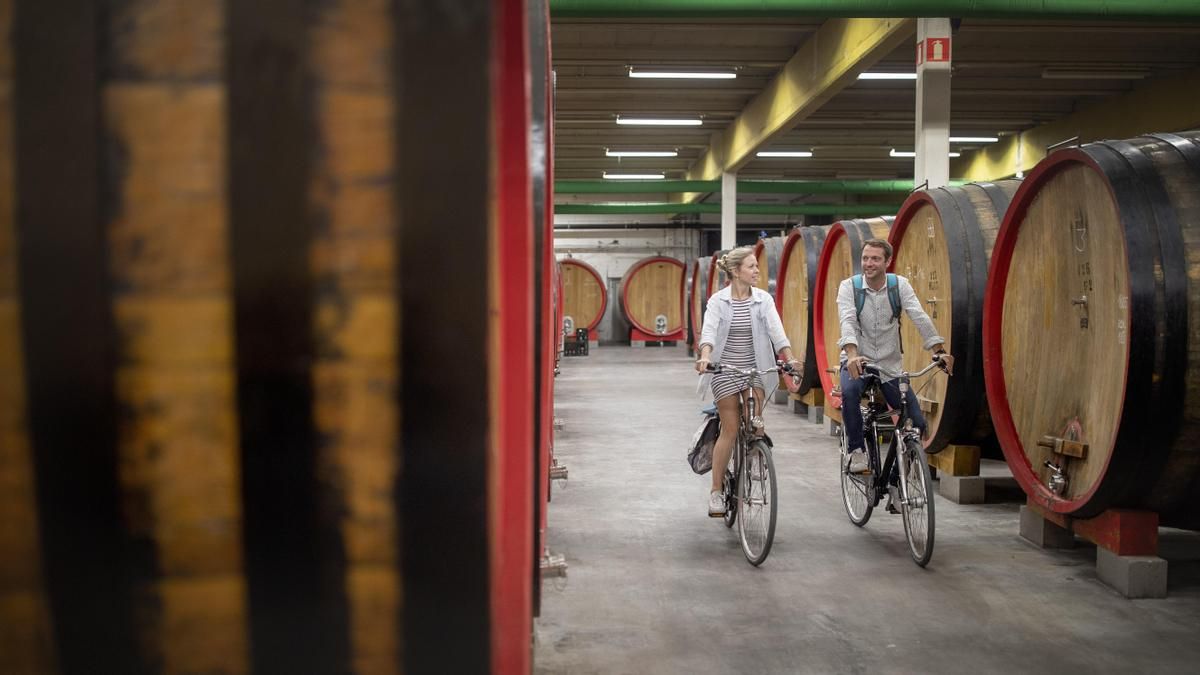 Flandes sobre dos ruedas: cinco rutas en bici para descubrir la cultura de la cerveza belga