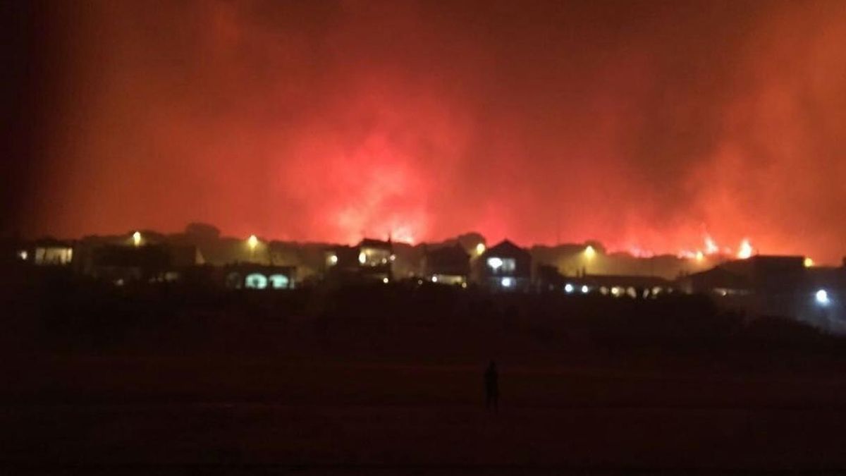 Ecologistas muestra su "consternación" por el incendio y pide que se depuren responsabilidades