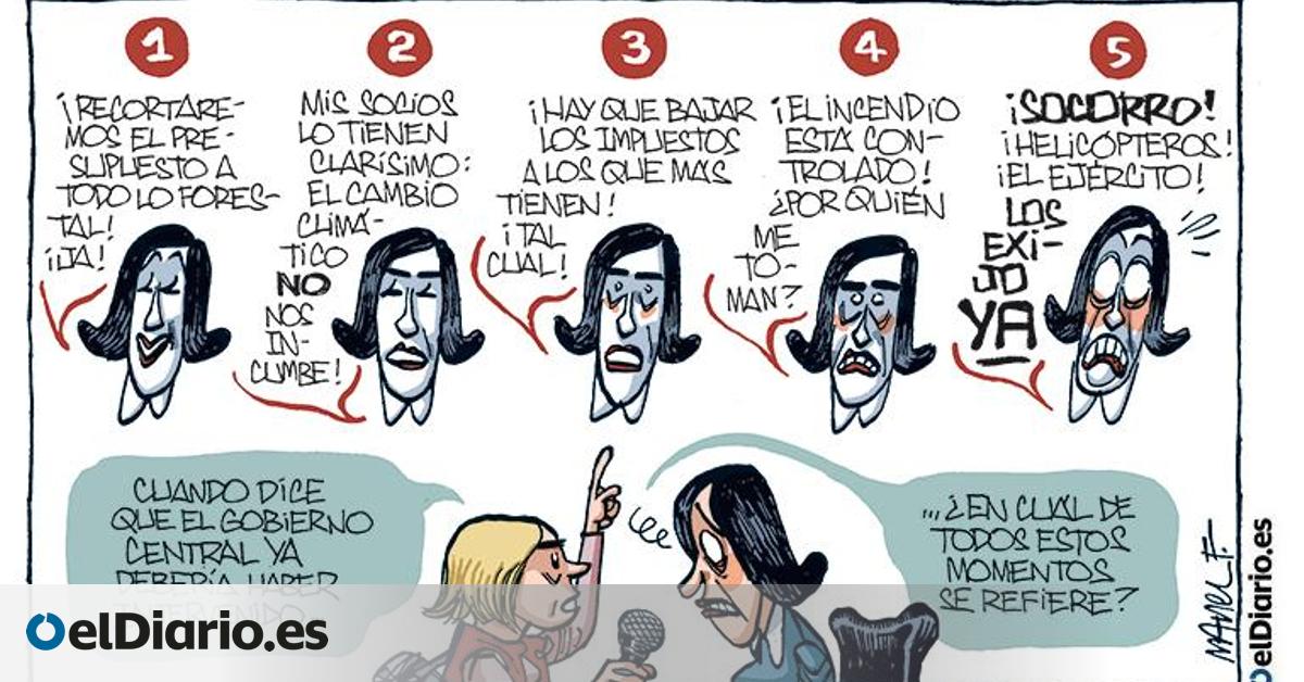 La gestión