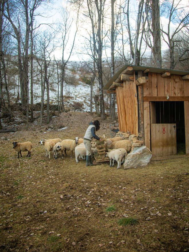 Vanesa tiene a su cargo siete ovejas porque era lo que la comunidad necesitaba.