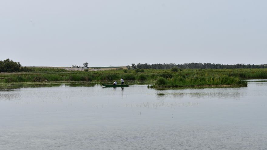 Este lunes se crea la comisión mixta entre Castilla-La Mancha y Gobierno central para recuperar las Tablas de Daimiel