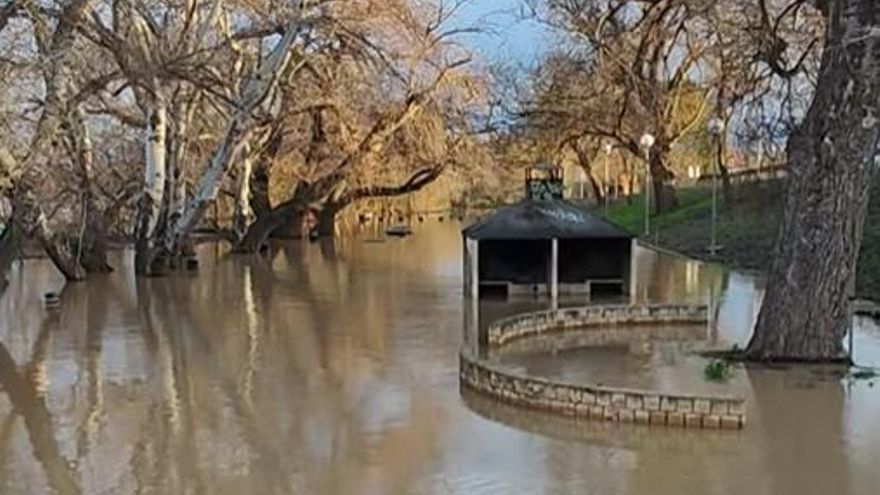 Aragón, en alerta naranja ante la crecida ordinaria del Ebro: desalojan una urbanización en Movera (Zaragoza)