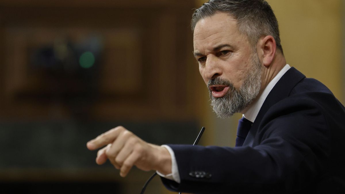 El líder de Vox, Santiago Abascal, interviene en el Congreso. EFE/Mariscal