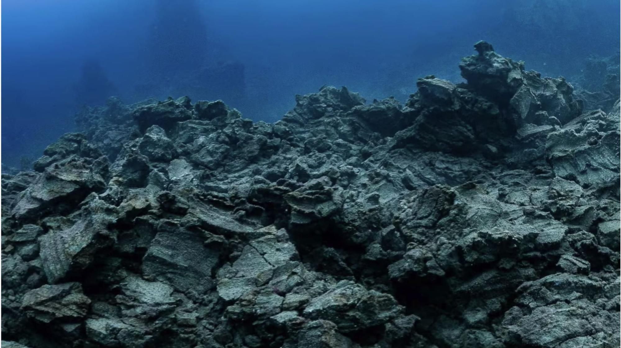 Fondos del delta lávico del nuevo volcán de La Palma. GRUPO BOTMAR
