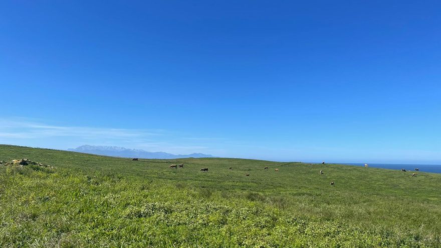 Ecologistas en Acción alega contra el Centro de Interpretación del Burro en Tagle por sus "afecciones" al entorno