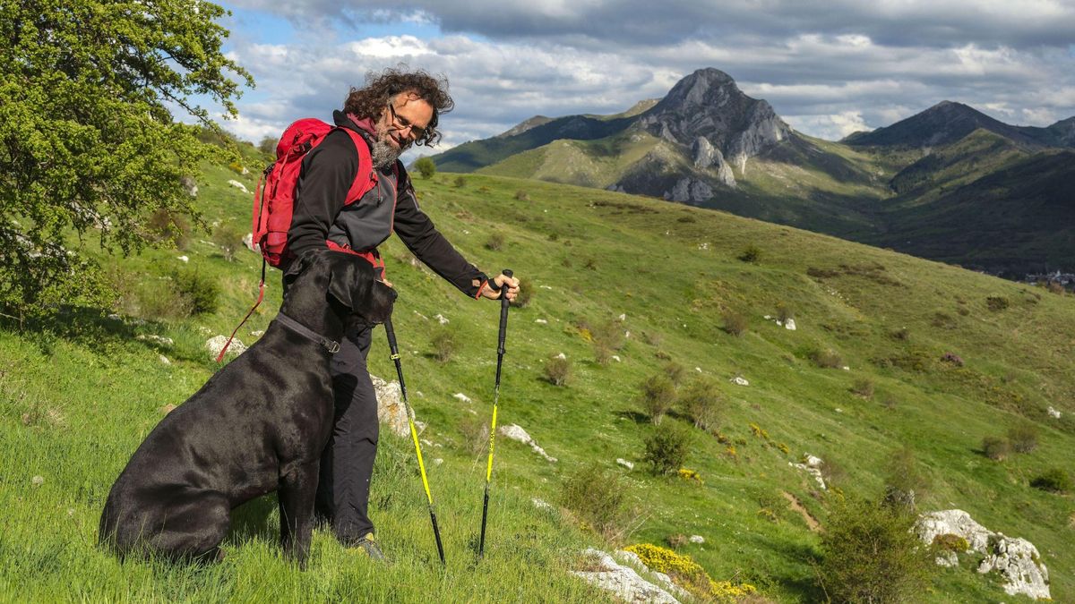 Bastones de trekking