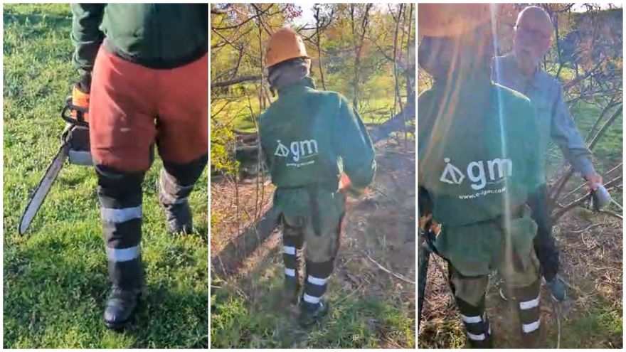 El Gobierno de Almeida inicia las talas del cantón de Montecarmelo y la oposición vecinal se salda con un detenido