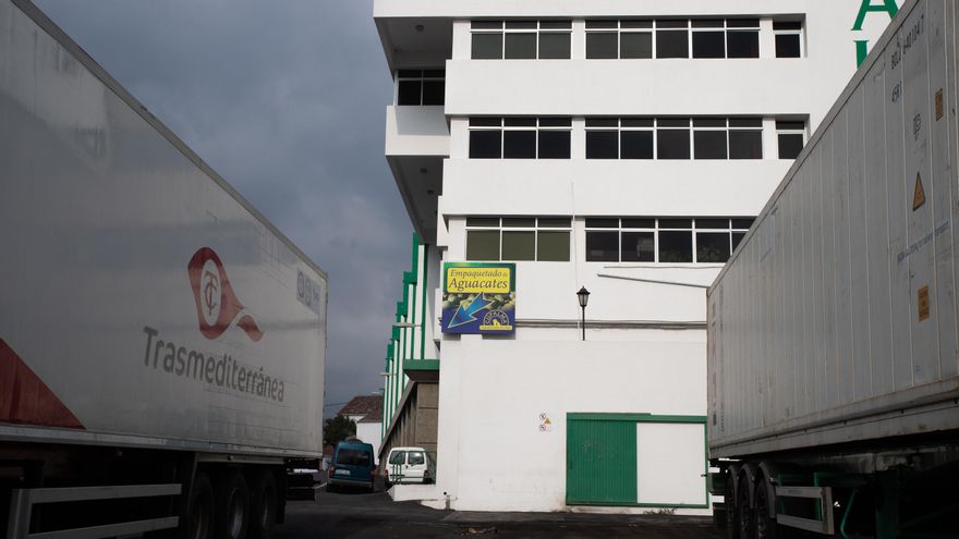 Una nave de empaquetado de aguacates en La Palma