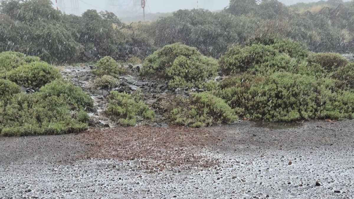 La borrasca  descarga granizo y agua nieve en las cumbres de La Palma