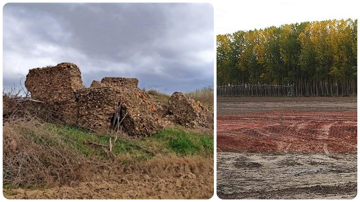 Un agricultor arrasa por completo las ruinas del castillo de la Torre Mocha en Salamanca, Bien de Interés Cultural