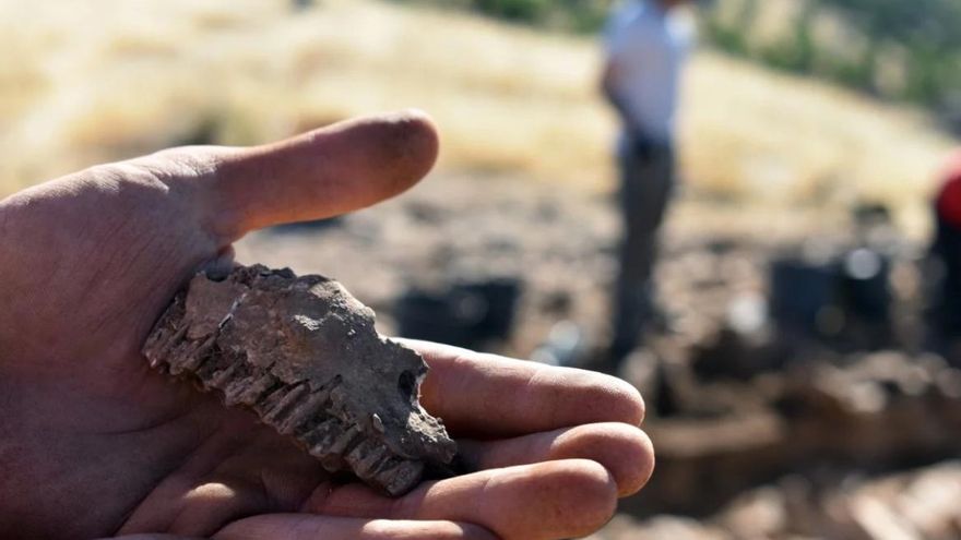 Mandíbula hallada en el yacimiento