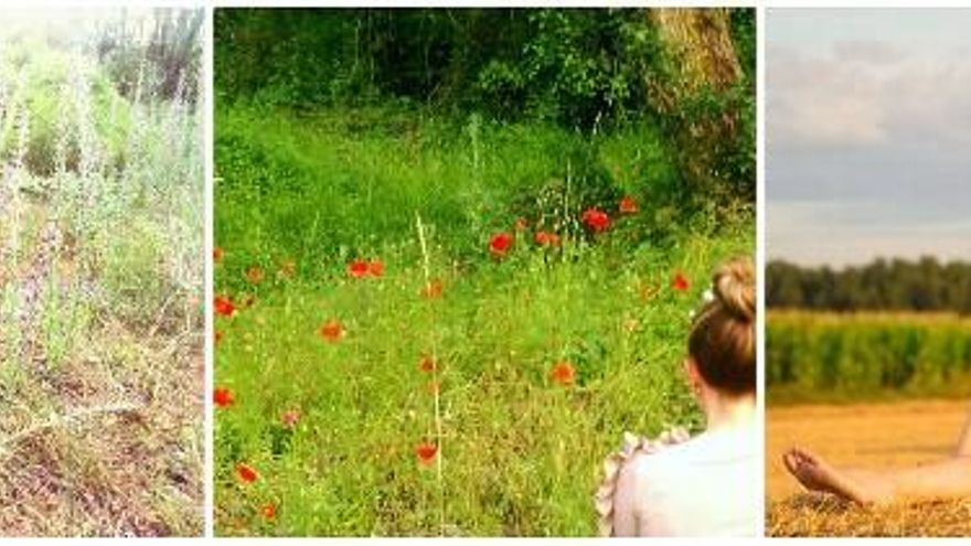 Selfies y disparador automático con flores silvestres y alpacas de paja.