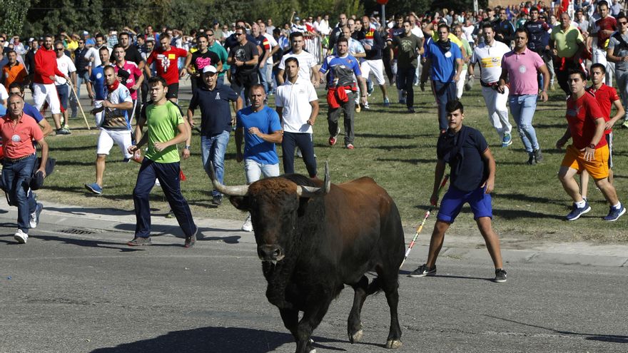 Tordesillas ve la suspensión del Toro de la Vega "condicionada por la ideología" y estudia una "alternativa viable"