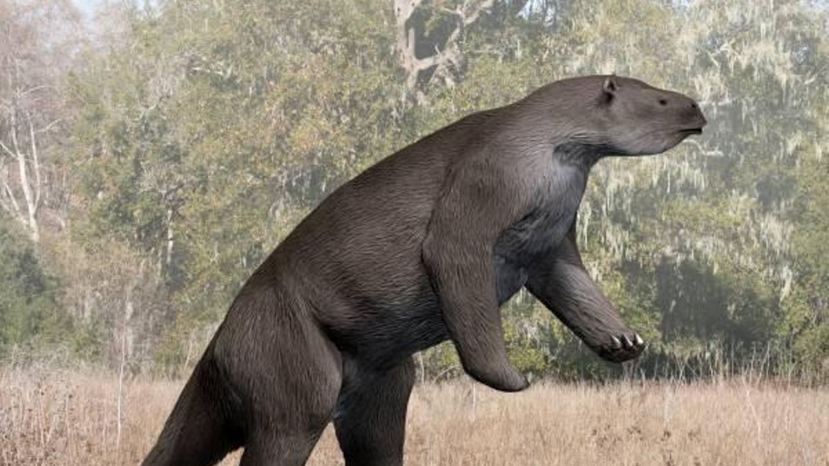En tierra, especies como el Megatherium desarrollaron garras enormes y cuerpos robustos
