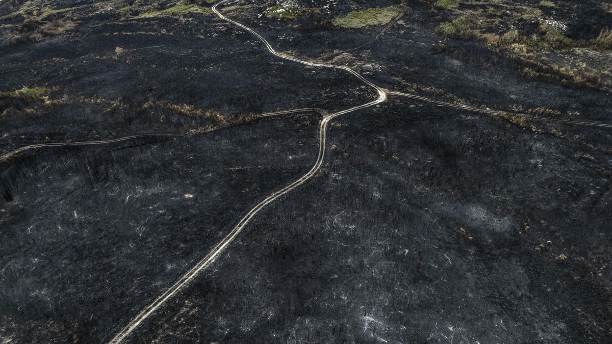 El Partido Socialista denuncia que la Xunta de Galicia vuelve a incumplir los plazos del plan de prevención de incendios