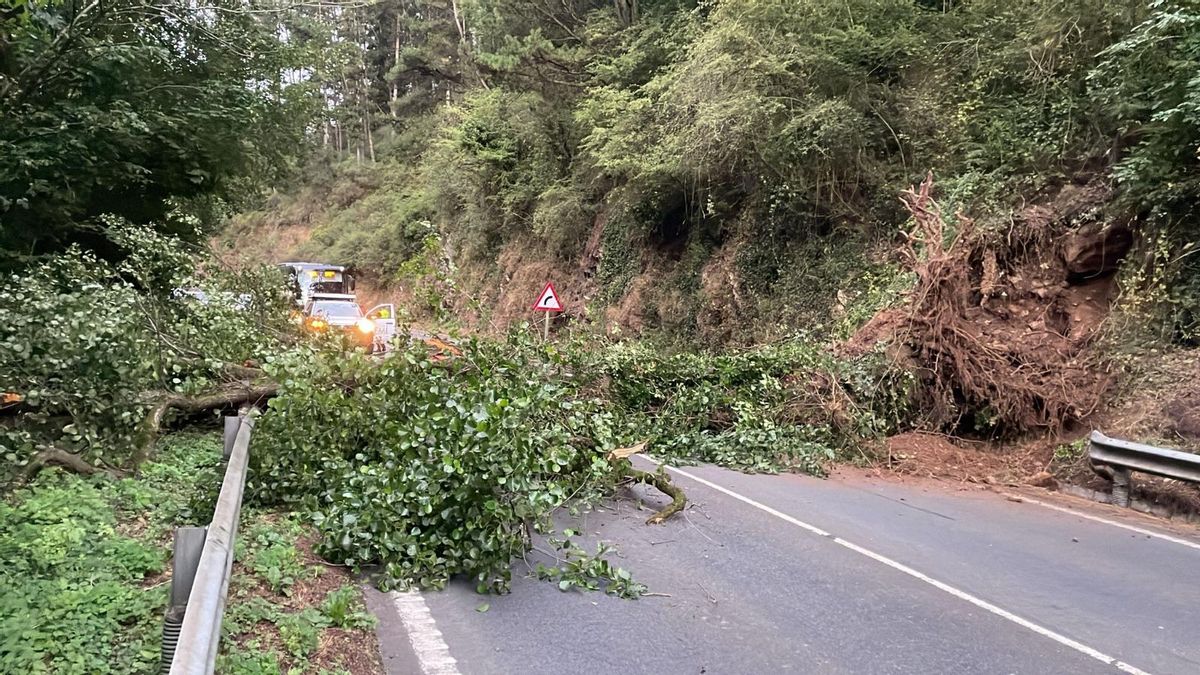El desprendimiento de un árbol bloquea los dos carriles de la AS-15 en el suroccidente asturiano